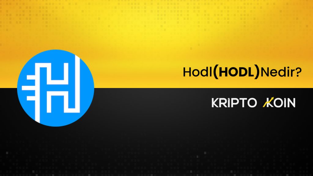 DeFi Projesi HODL Nedir? HODL Coin Nasıl Alınır? 1 defi projesi hodl nedir hodl coin nasil alinir eEMQXUpn