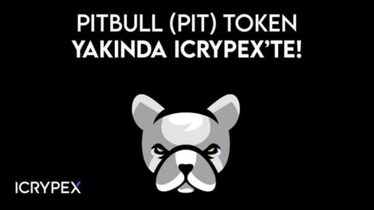 icrypex pitbull tokeni pit listeleyecek upTK57lu