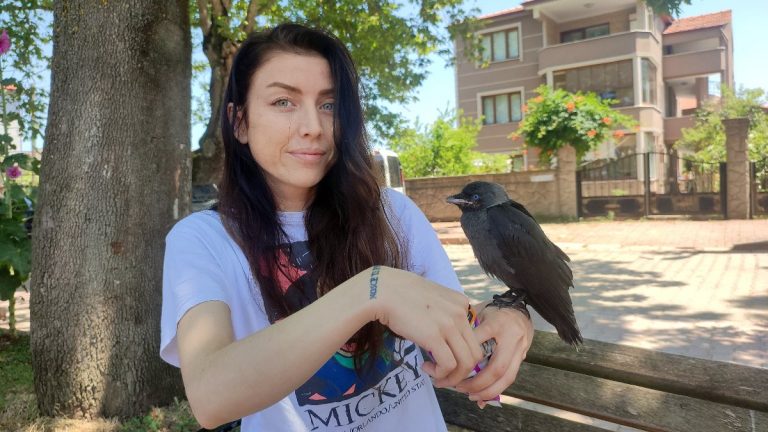 sakaryada kargasina gozu gibi bakiyor wTIPswfh