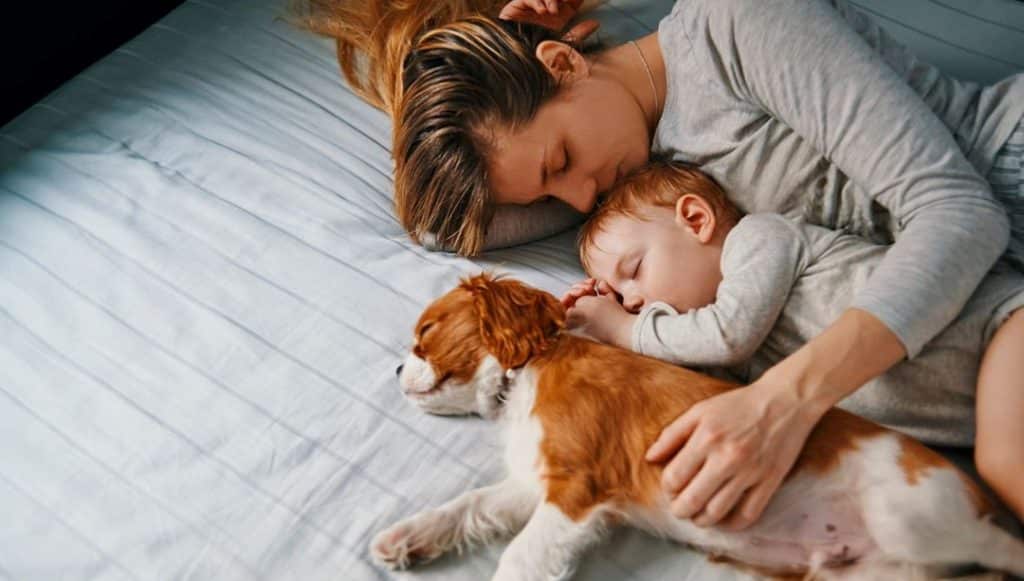 İlkokul çağındaki çocuklarda görülüyor: Gece terörü nedir? 1 ilkokul cagindaki cocuklarda goruluyor gece teroru nedir 9df66d86f336043927f36c3004681652