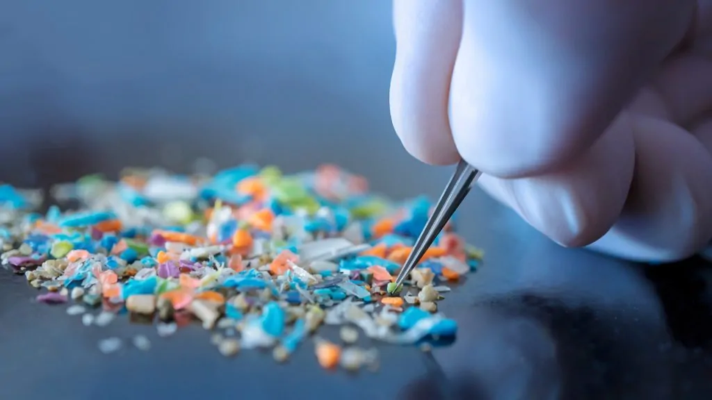 Şimdiye kadar mikroplastik bulduğumuz en rahatsız edici yerler 1 simdiye kadar mikroplastik buldugumuz en rahatsiz edici yerler 85Ybv6PO